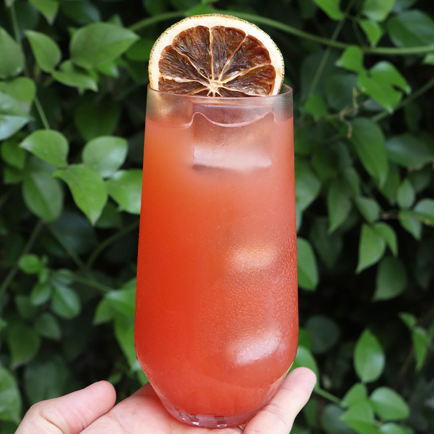 Garibaldi Cocktail